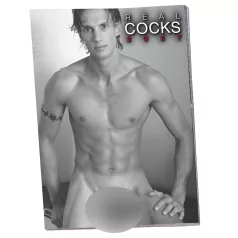 Real Cocks 2027 - calendário erótico de parede (1 unid.)