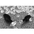 You2Toys - Diamante - plug anal de silicone (pequeno)