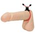 You2Toys - anel peniano ajustável (vermelho)