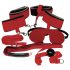 Conjunto BDSM Bad Kitty - vermelho