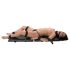 You2Toys - Tabuleiro Bondage: Kit Completo (13 peças)
