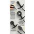 You2Toys - Plug anal inflável com bolinhas (preto)