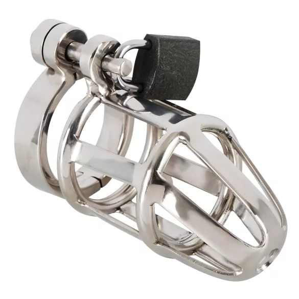 You2Toys - Gaiola de castidade peniana - metal, com cadeado