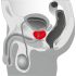 You2Toys - Massageador de Próstata - Vibrador Rotativo (Preto)