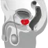 You2Toys - Massageador de próstata vibrador rotativo - silicone preto