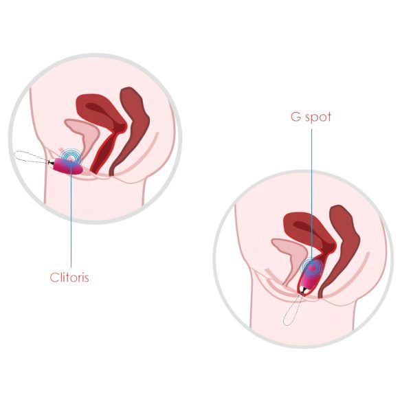 Svakom Elva - Ovo vibratório recarregável com controle (vermelho)