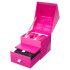 We-Vibe Chorus - Vibrador Inteligente e Recargável para Casais (Rosa)