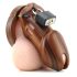CB-6000 - Gaiola de Luxo para Pênis com Cadeado (Madeira)