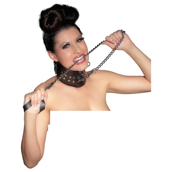 ZADO - coleira de metal (prata)