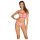 Conjunto Obsessive Nudelia - sutiã (natural-rosa) - Tamanho P/M