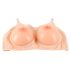 Realce de Silicone - Sutiã com Enchimento (2x1000g)