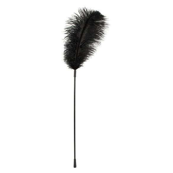 Bad Kitty - Carícia de Pluma (preto)