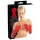 Latex - luva longa unissex - vermelho