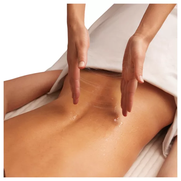 Mixgliss Nu Aloe Vera - gel de massagem nuru e lubrificante (1000 ml)