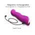 Love to Love Swap: Vibrador G-Ponto pulsante e recarregável (roxo)
