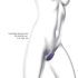 Wonderlover - Vibrador G-spot e clitóris (roxo)