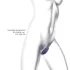 Love to Love Wonderlover - Vibrador G-ponto e clitóris (roxo escuro)