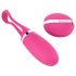 Delícia Secreta Dorcel - Ovo Vibrador com Controle (rosa)