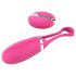 Delícia Secreta Dorcel - Ovo Vibrador com Controle (rosa)