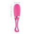 Delícia Secreta Dorcel - Ovo Vibrador com Controle (rosa)