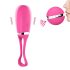 Delícia Secreta Dorcel - Ovo Vibrador com Controle (rosa)