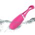 Delícia Secreta Dorcel - Ovo Vibrador com Controle (rosa)