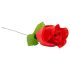 Calcinha Rosa - surpresa em pétalas - vermelho (S-L)