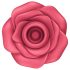 Satisfyer Pro 2 Rose - Estimulador de Ondas de Ar Rosa