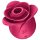 Satisfyer Pro 2 Rose Modern - Estimulador de clitóris vermelho