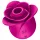 Satisfyer Pro 2 Modern Blossom - estimulador clitoriano sucção - rosa