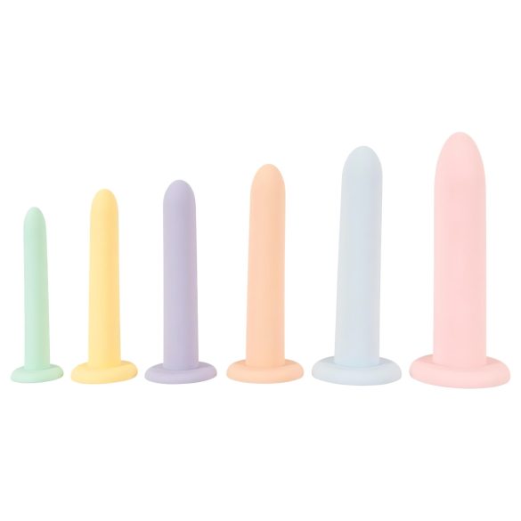 Seis em Série - Kit de Dildos Treinadores (6 cores)