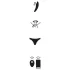 We-Vibe Moxie+ - vibrador de clitóris inteligente com controlo remoto (turquesa)