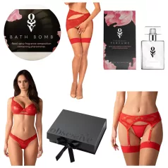   Obsessive Aloisa - kit lingerie presente - 6 peças - vermelho - L/XL