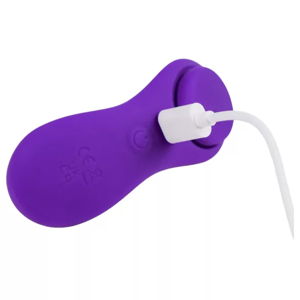 Desirel Confidential - vibrador de calcinha vestível controlado por app (roxo)