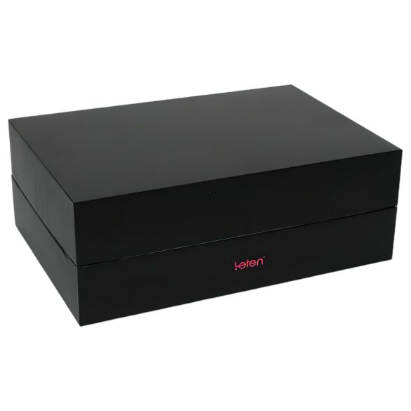 LETEN SM FUTURE PRO - recarregável, aquecedor, masturbador movimento vertical