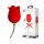 Pretty Love Rose Lover - Vibrador 2 em 1 con Língua (vermelho)