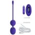 Pretty Love Willie Youth - Bola de Kegel com Controle (roxo)