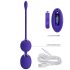 Pretty Love Willie Youth - Bola de Kegel com Controle (roxo)