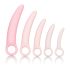 CalExotics Inspire - Conjunto de Dilatadores Vaginais (Rosa)