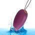 Vibrador Ovo Engily Ross - Roxo