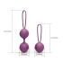 Conjunto de Bolas Ben Wa Engily Ross Kelly - 2 Peças (Roxo)