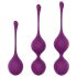 Engily Ross Taylor 2.0 - Conjunto de 3 Bolas de Exercício (Roxo)