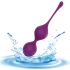 Engily Ross Taylor 2.0 - Conjunto de 3 Bolas de Exercício (Roxo)