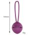 Engily Ross Leigh - Bola de Kegel em silicone (roxa)