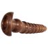 Conjunto Evolved Twisted Love - Dildo Anal (Aparência de Madeira)