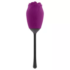   Playboy - vibrador línguas clitóris recarregável à prova d'água - roxo