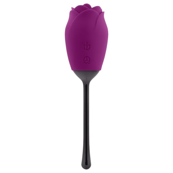 Playboy - Vibrador rosa com língua, à prova d'água e recarregável (roxo)