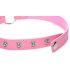 Master Series Gata Atrevida - coleira com guizo de gatinho (rosa)