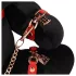 Bondage Rabbit - Fantasia BDSM coelho - acessório fetiche - preto
