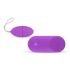 Easytoys - Ovo Vibratório com Controle Remoto, 7 Ritmos (Roxo)